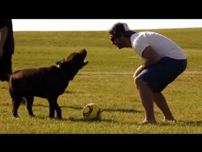 Billy Tour Video 2011 - Check out how Billy spends his down time on the road!